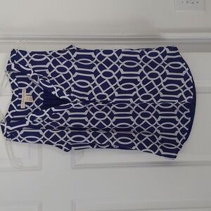 Beautiful blue and white tank